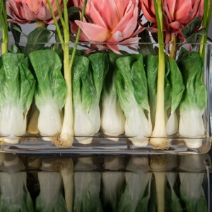 Aranjament floral decor festiv design LUX RECTANGULAR VASE PROTEA - Img 5
