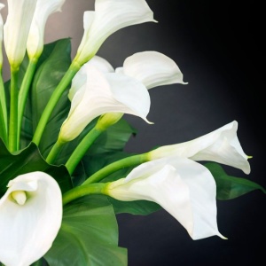 Aranjament floral elegant BOWL CALLA, 120cm 1141075.95 - Img 4