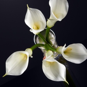 Aranjament floral elegant CALLA SMALL 1141178.95 - Img 4