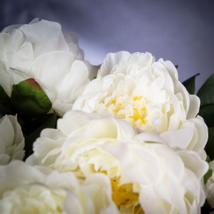 Aranjament floral elegant, design LUX ETERNITY ROUND PEONY WHITE - Img 3
