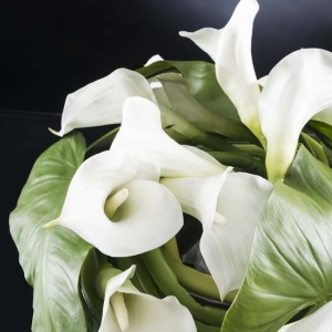 Aranjament floral elegant din cale albe, CIOTOLA BASSA CON CALLE 1141772.95 - Img 2