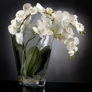 Aranjament floral elegant TROPICAL PLANT 1141378.95 - Img 3