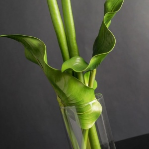 Aranjament floral mediu design LUX CILINDRO CALLA - Img 5