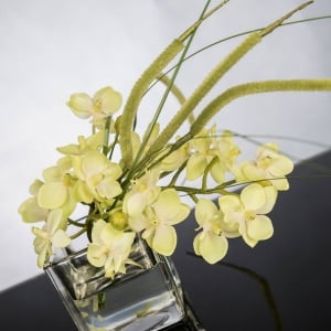 Aranjament floral mic decor festiv design LUX ETERNITY CUBO MINI PHALAENOPSI - Img 2