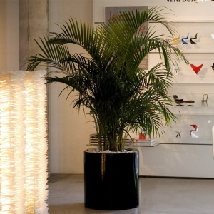 Ghiveci plante design decorativ modern exterior / interior CYLINDER POT 60x60cm