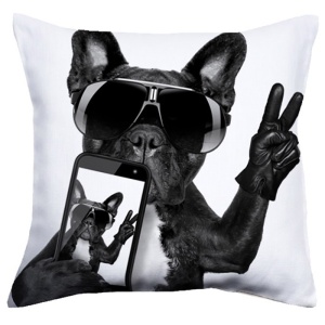Perna moderna Cool Dog 40x40
