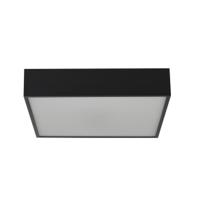 Plafoniera LED baie cu protectie IP44 Zeus 30x30cm, negru 110741 universul-luminii.ro