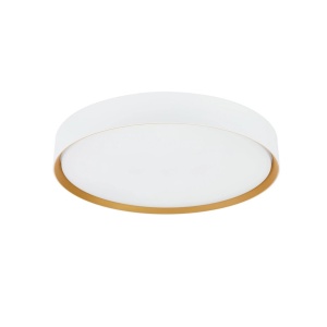 Plafoniera LED CCT cu protectie IP44 Binary Pro 30W, alb/ auriu