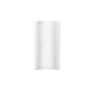 Plafoniera, spot aplicat pentru iluminat exterior, IP54 Dear alb