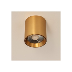 Spot aplicat auriu LED BABIL 10W CCT
