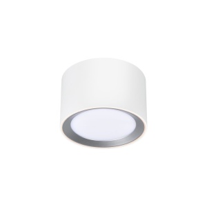Spot aplicat LED CCT, IP44 Landon 8 Smart White 133211 universul-luminii.ro