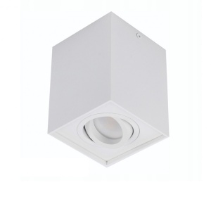Spot directionabil aplicat tavan/plafon stil modern ELOY 1 White