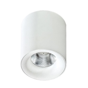 Spot LED aplicat tavan/plafon MANE alb - Img 1