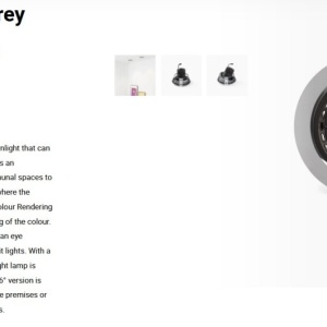 Spot LED incastrabil MINI-OPTIC Grey downlight LED CRI95 17/24W 4000K 20° 2110/2875 lm 110781 universul-luminii.ro