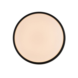 Aplica de perete / tavan exterior IP54 Oliver Black 221372 universul-luminii.ro