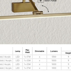 Aplica LED tablou design modern Picture Lights auriu periat 5551-51SB SRT 185032 universul-luminii.ro