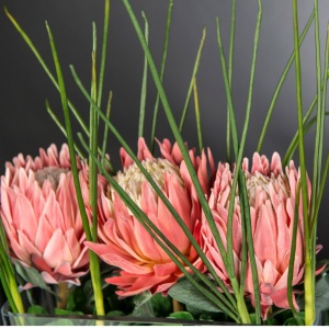 Aranjament floral decor festiv design LUX RECTANGULAR VASE PROTEA - Img 2