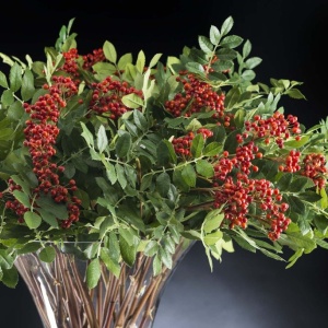 Aranjament floral design LUX, ETERNITY BOWL RED BERRIES 1141799.30 - Img 2