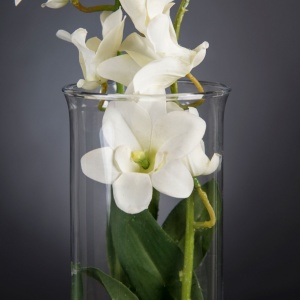 Aranjament floral elegant, design LUX ETERNITY DENDROBIUM ORCHID PLANT - Img 4