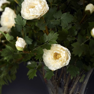 Aranjament floral elegant din bujori albi, BOWL ETERNITY PEONY 1141338.95 - Img 4