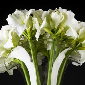 Aranjament floral elegant din crini de camera albi, VULCANO IVORY AMARYLLIS, 110cm 1141182.95 - Img 2