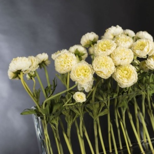 Aranjament floral elegant DOUBLE RANUNCULUS 1141960.95 - Img 2