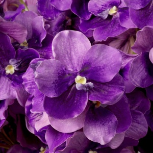 Buchet artificial LUX din 24 fire orhidee violet, Vanda Orchids - Img 2