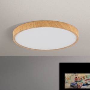 Plafoniera LED design slim BULLY D-28cm maro 155782 universul-luminii.ro