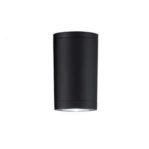 Plafoniera, spot aplicat pentru iluminat exterior, IP54 Dear negru