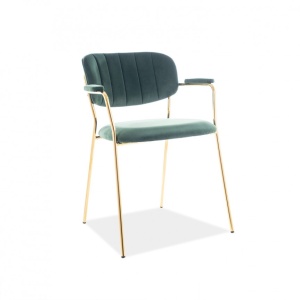 Scaun elegant catifea verde CARLO II CARLOIIVZLZ SM