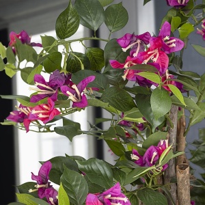 Set de 2 plante artificiale, Bougainvillea roz H-120cm - Img 4