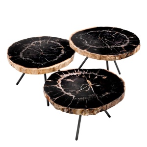 Set de 3 masute de cafea design LUX De Soto cu blat din lemn pietrificat 111465 HZ