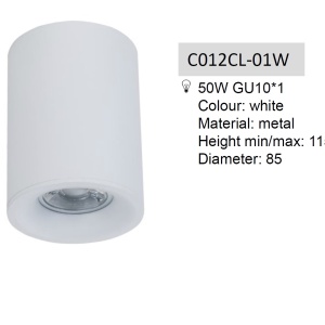 Spot aplicat de tavan/plafon Alfa MYC012CL-01W 71452 universul-luminii.ro