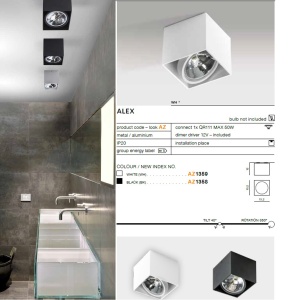 Spot aplicat directionabil de tavan/plafon ALEX negru ZZ AZ1358 81072 universul-luminii.ro