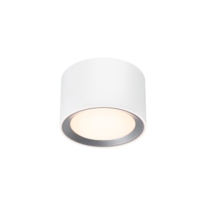 Spot aplicat LED CCT, IP44 Landon 8 Smart White 133212 universul-luminii.ro