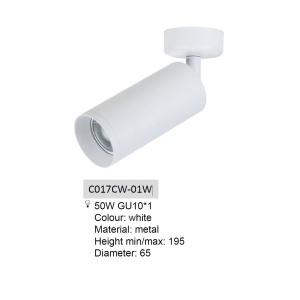 Spot directionabil aplicat de tavan/plafon Focus MYC017CW-01W - Img 3