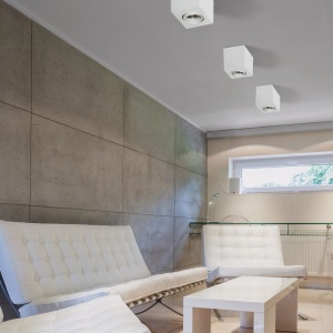 Spot directionabil aplicat tavan/plafon stil modern ELOY 1 White 98352 universul-luminii.ro