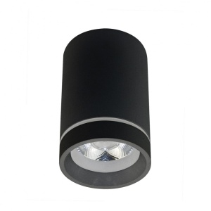 Spot LED aplicat de tavan/plafon Bill negru ZZ AZ3376
