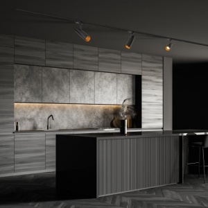 Spot LED directionabil pentru sina trifazata MAXLIGHT, SHINEMAKER negru 206812 universul-luminii.ro