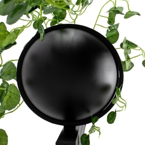 Aplica de perete design deosebit PLANT 238033 universul-luminii.ro