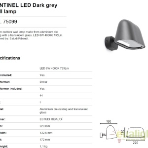 Aplica de perete LED pentru exterior, IP44 SENTINEL 75099 61973 universul-luminii.ro