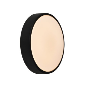 Aplica de perete / tavan exterior IP54 Oliver Black 134153 universul-luminii.ro
