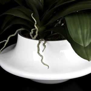 Aranjament floral elegant ATOLLO 3 WITH PHALENOPSIS BIG 1141263.95 - Img 2