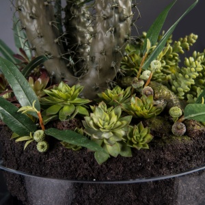 Aranjament floral elegant, design LUX CACTUS GRASS - Img 3