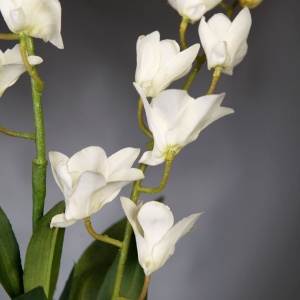 Aranjament floral elegant, design LUX ETERNITY ALFEO CYMBIDIUM - Img 6