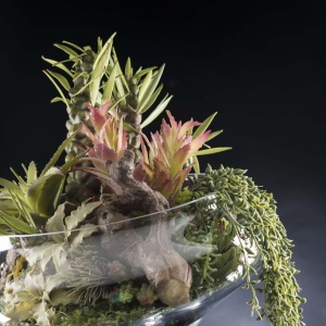 Aranjament floral elegant ETERNITY BOWL EXOTIC ZEUS 1141789.60 - Img 2