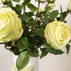 Aranjament floral mare CYLINDER DAVID EYE WITH ROSES - Img 3
