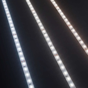 Banda 5 metri STRIP LED 19W 3000K CRI90 240 LED/m IP20 106973 universul-luminii.ro