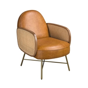 Fotoliu design LUX, Ratan, Piele Naturala 5162