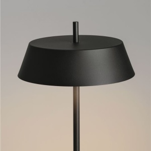 Lampadar, Lampa podea LED VELIO negru - Img 4